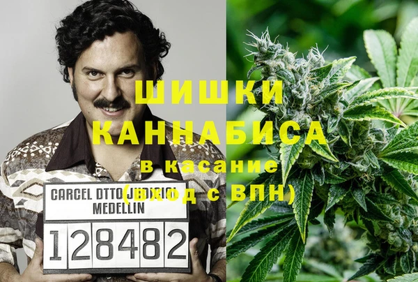соль ск Алексин