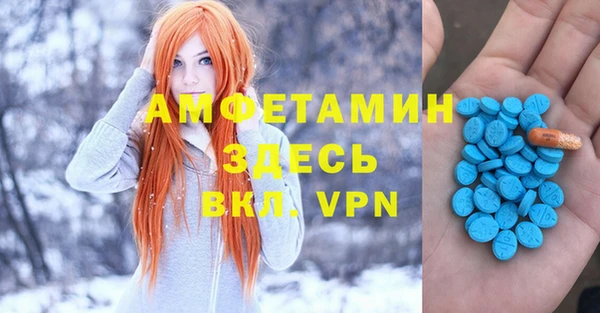 соль ск Алексин