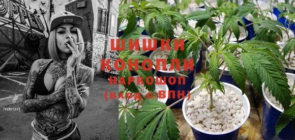 бошки Алзамай
