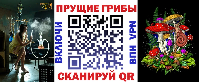 Псилоцибиновые грибы мицелий  Дмитров 