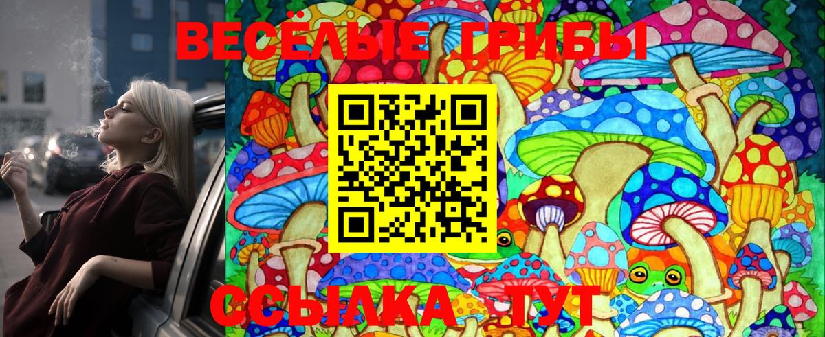 Псилоцибиновые грибы Psilocybe Дмитров